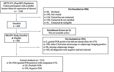 Cervicovaginal Immune Activation in Zambian Women With Female Genital Schistosomiasis
